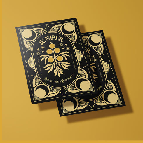 Juniper-themed greeting card featuring a gold design on a black background with celestial and botanical motifs. The text reads: 'Protection & Purification.' The inside message explains the magical and spiritual significance of juniper, including rituals for New Year's Eve and the first full moon, focusing on protection and purification practices.